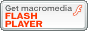 AdobeR FlashR Player 肷